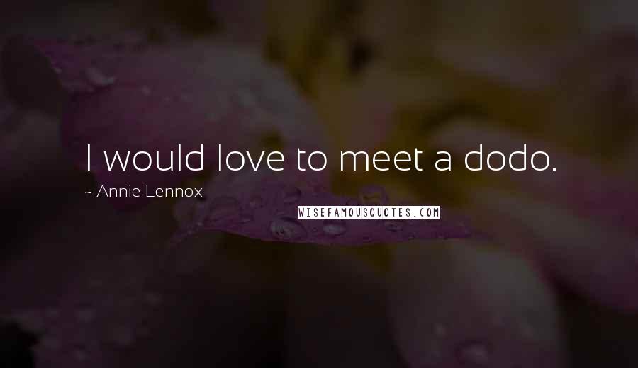 Annie Lennox Quotes: I would love to meet a dodo.
