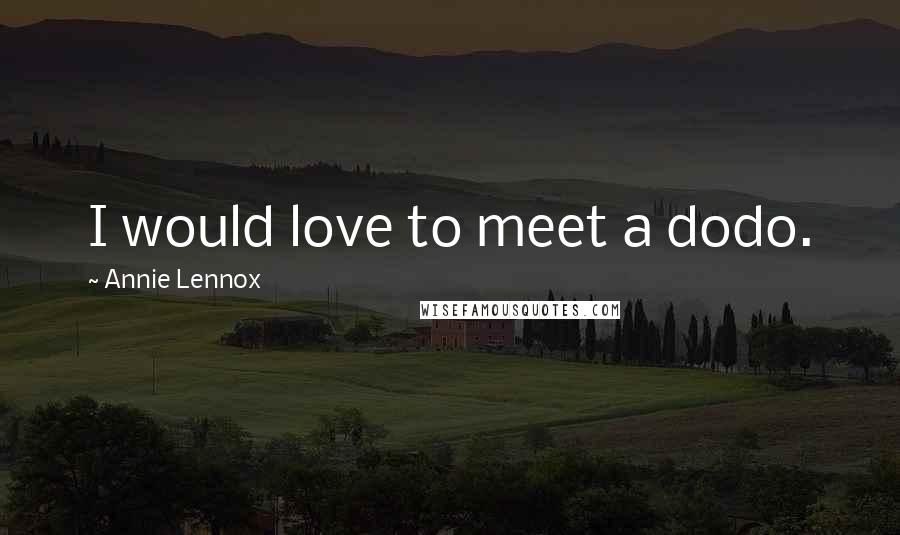 Annie Lennox Quotes: I would love to meet a dodo.