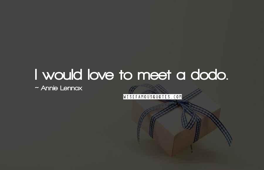 Annie Lennox Quotes: I would love to meet a dodo.