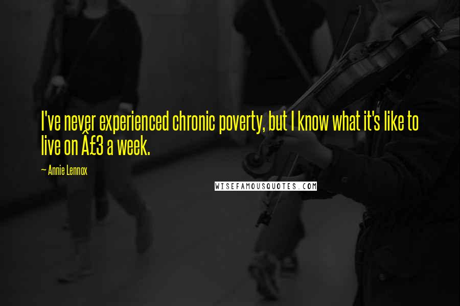 Annie Lennox Quotes: I've never experienced chronic poverty, but I know what it's like to live on £3 a week.