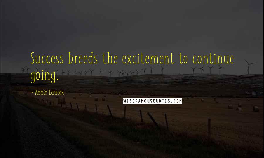 Annie Lennox Quotes: Success breeds the excitement to continue going.