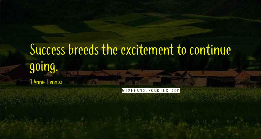 Annie Lennox Quotes: Success breeds the excitement to continue going.