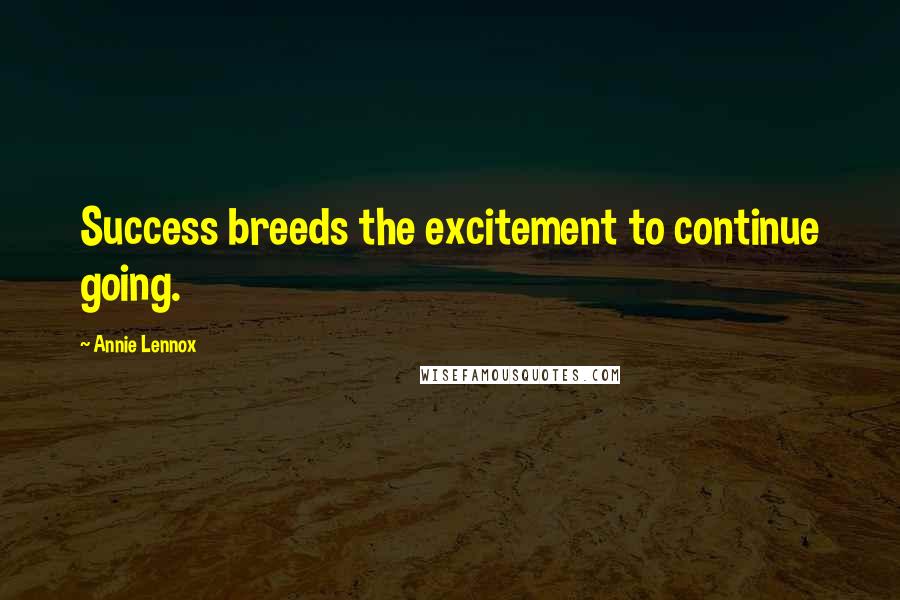 Annie Lennox Quotes: Success breeds the excitement to continue going.