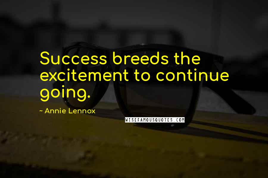 Annie Lennox Quotes: Success breeds the excitement to continue going.