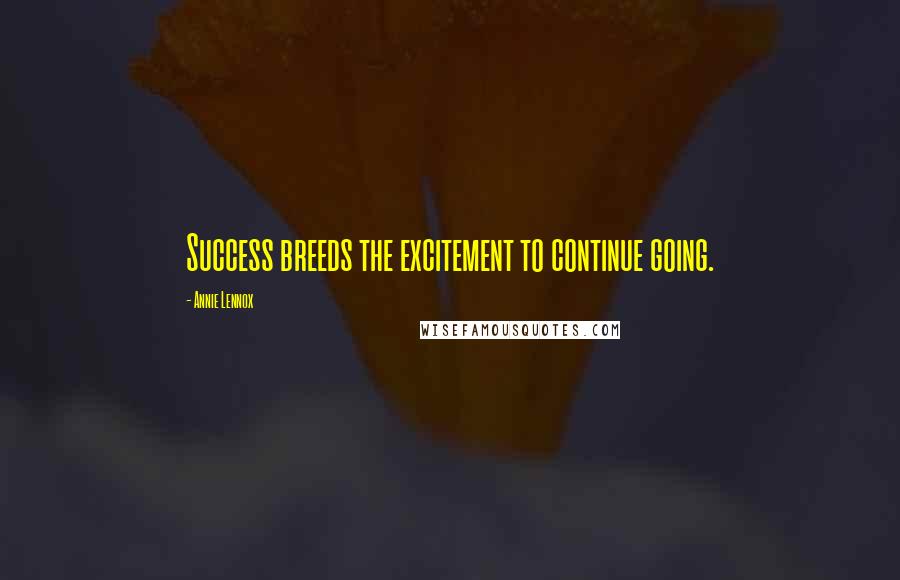 Annie Lennox Quotes: Success breeds the excitement to continue going.