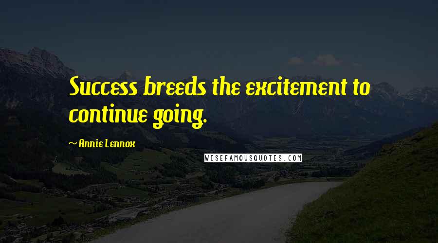 Annie Lennox Quotes: Success breeds the excitement to continue going.