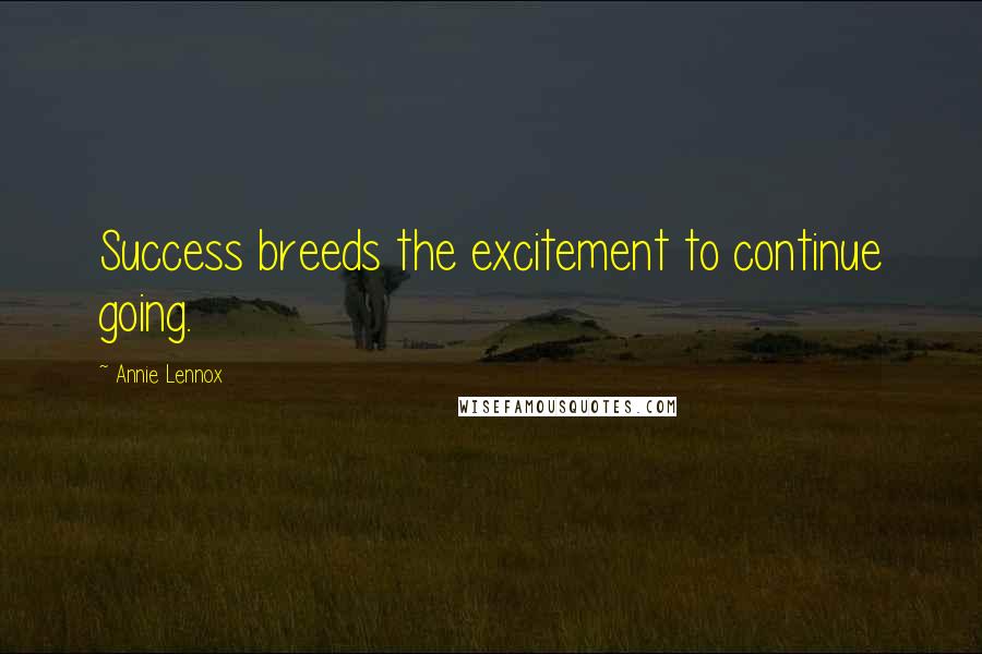 Annie Lennox Quotes: Success breeds the excitement to continue going.