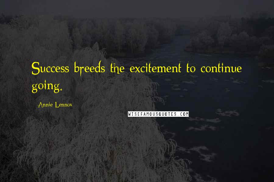 Annie Lennox Quotes: Success breeds the excitement to continue going.