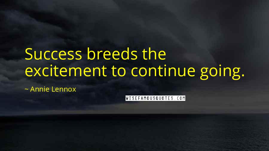 Annie Lennox Quotes: Success breeds the excitement to continue going.