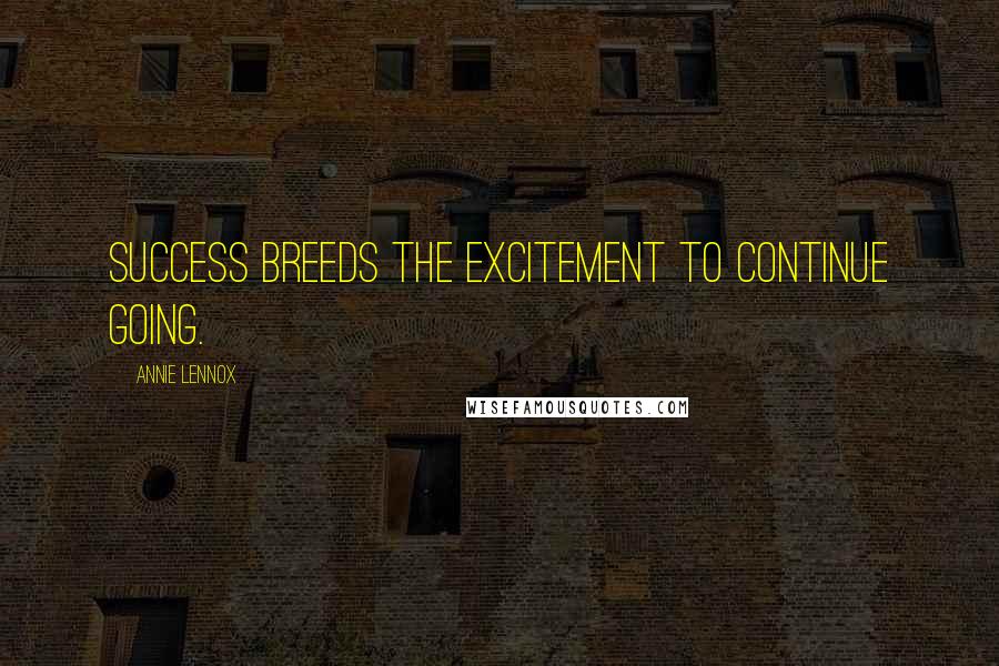 Annie Lennox Quotes: Success breeds the excitement to continue going.