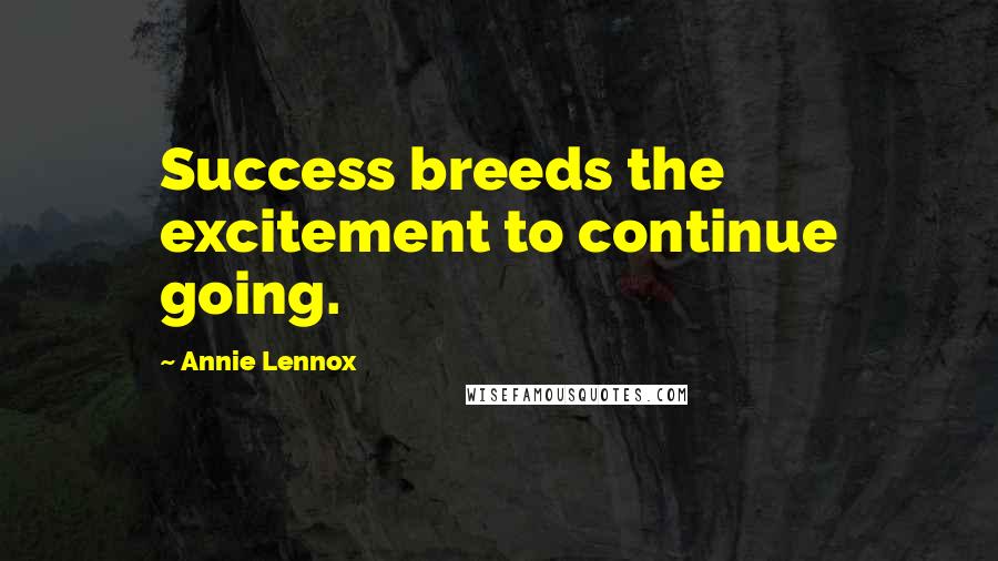 Annie Lennox Quotes: Success breeds the excitement to continue going.