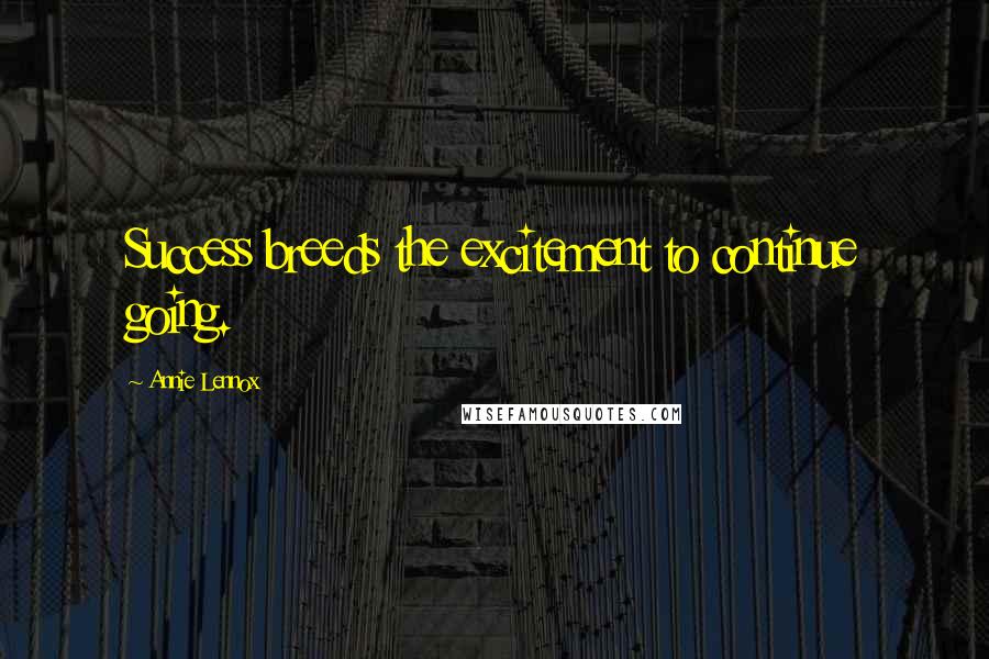 Annie Lennox Quotes: Success breeds the excitement to continue going.