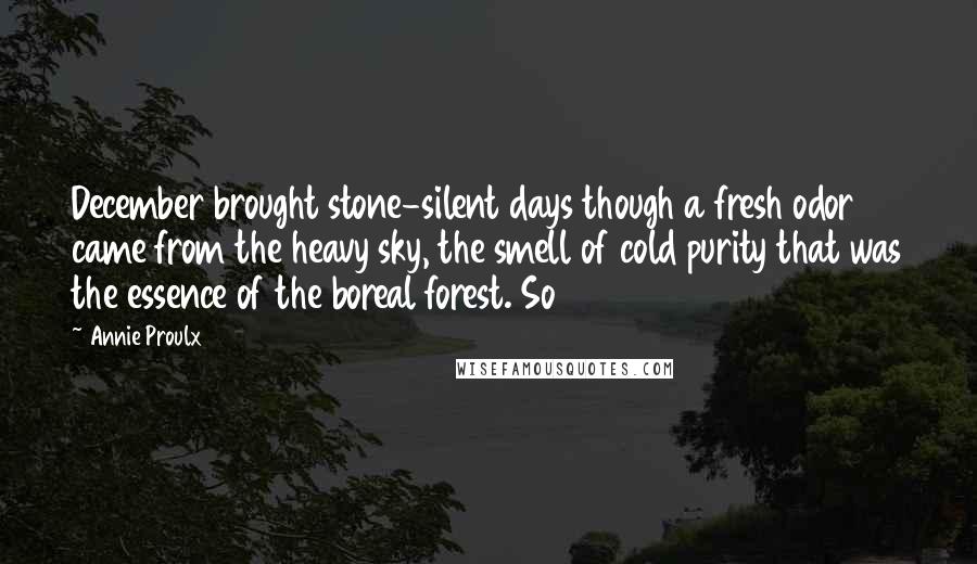 Annie Proulx Quotes: December brought stone-silent days though a fresh odor came from the heavy sky, the smell of cold purity that was the essence of the boreal forest. So