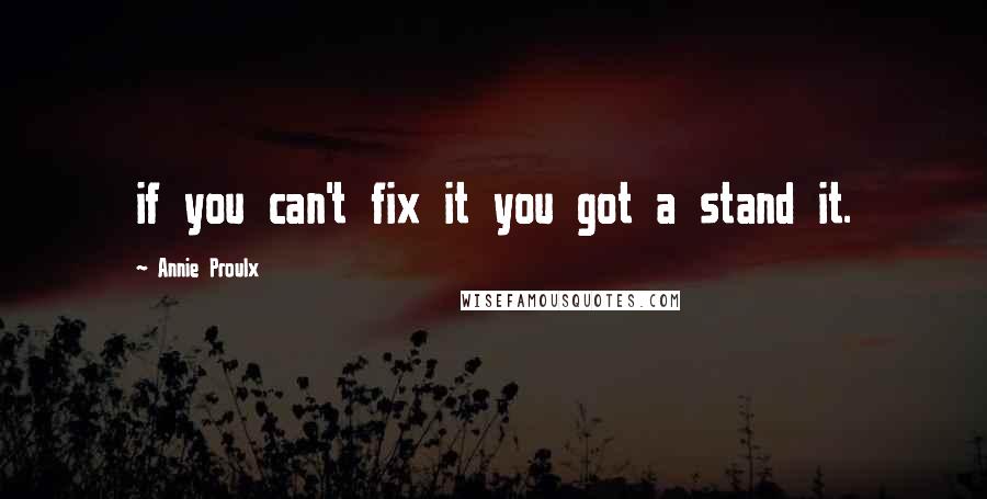 Annie Proulx Quotes: if you can't fix it you got a stand it.