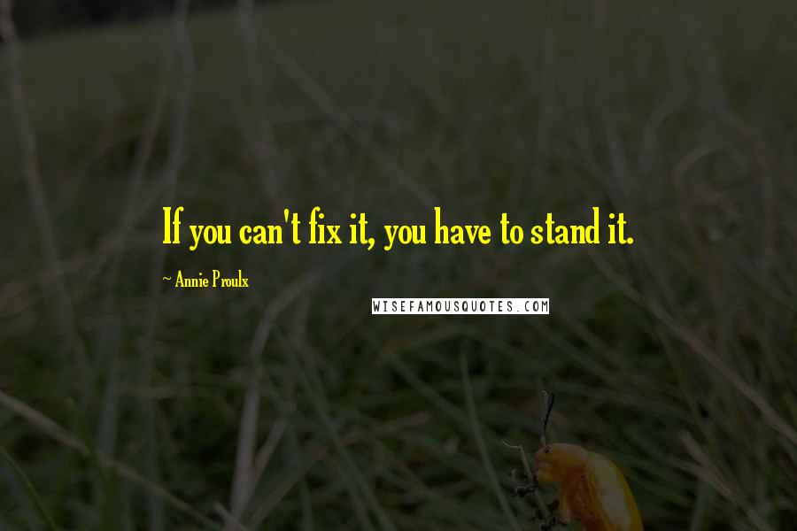 Annie Proulx Quotes: If you can't fix it, you have to stand it.