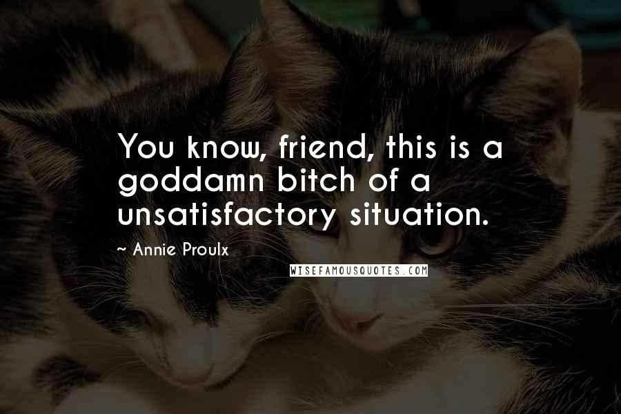 Annie Proulx Quotes: You know, friend, this is a goddamn bitch of a unsatisfactory situation.