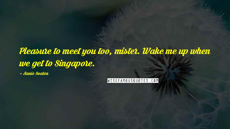 Annie Seaton Quotes: Pleasure to meet you too, mister. Wake me up when we get to Singapore.