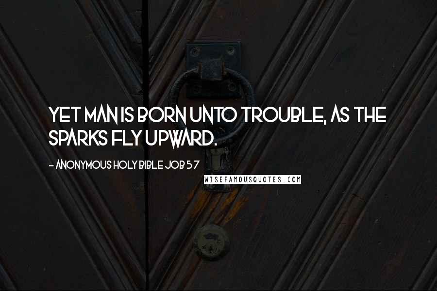 Anonymous Holy Bible Job 5 7 Quotes: Yet man is born unto trouble, as the sparks fly upward.