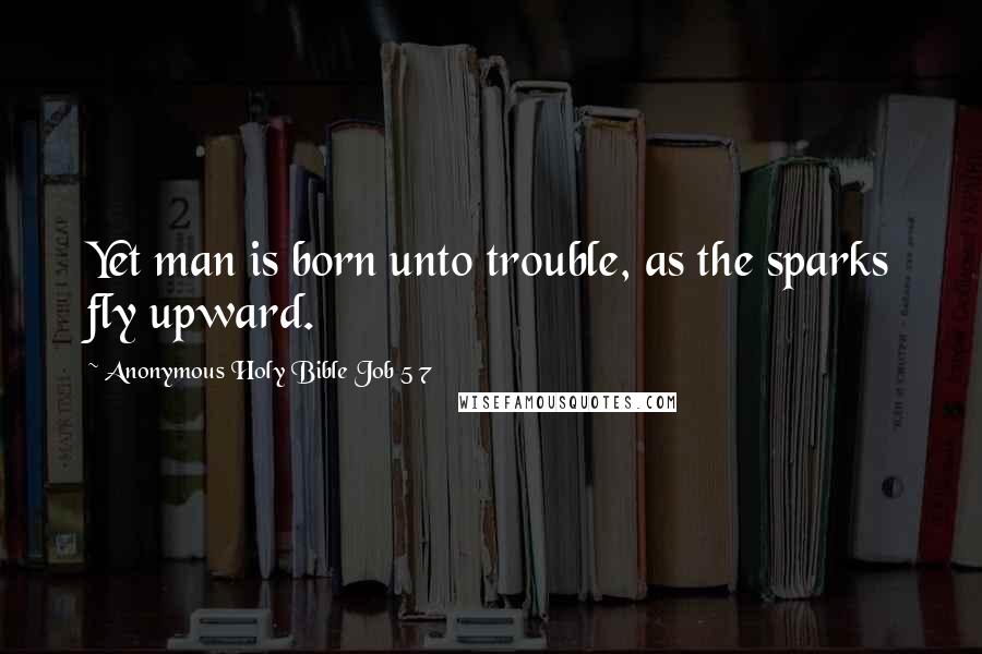 Anonymous Holy Bible Job 5 7 Quotes: Yet man is born unto trouble, as the sparks fly upward.