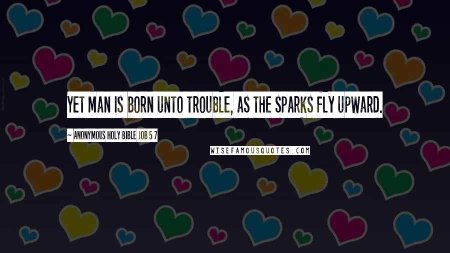 Anonymous Holy Bible Job 5 7 Quotes: Yet man is born unto trouble, as the sparks fly upward.