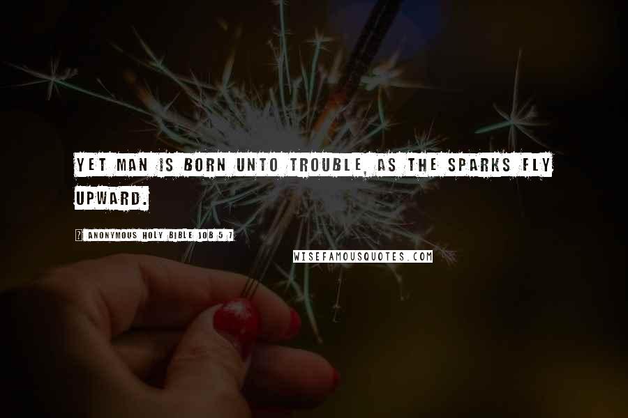 Anonymous Holy Bible Job 5 7 Quotes: Yet man is born unto trouble, as the sparks fly upward.