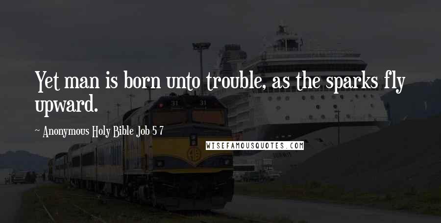 Anonymous Holy Bible Job 5 7 Quotes: Yet man is born unto trouble, as the sparks fly upward.