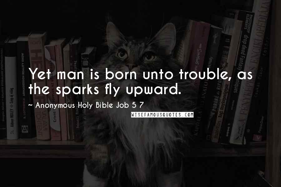 Anonymous Holy Bible Job 5 7 Quotes: Yet man is born unto trouble, as the sparks fly upward.