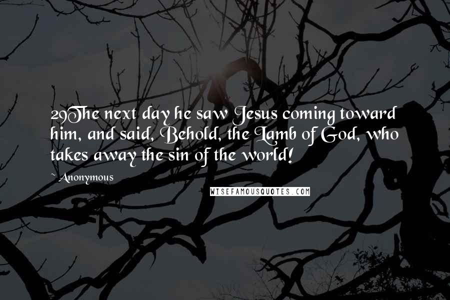 Anonymous Quotes: 29The next day he saw Jesus coming toward him, and said, Behold, the Lamb of God, who takes away the sin of the world!