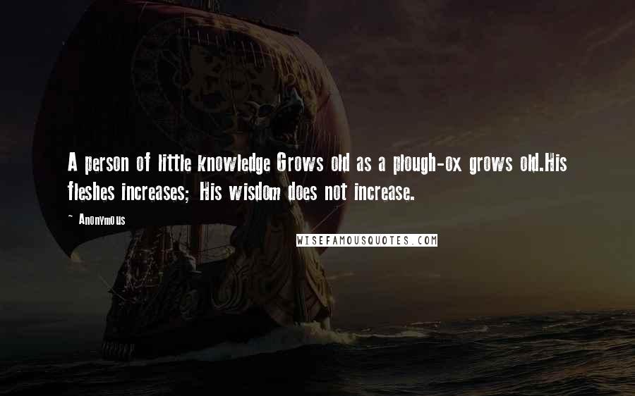 Anonymous Quotes: A person of little knowledge Grows old as a plough-ox grows old.His fleshes increases; His wisdom does not increase.