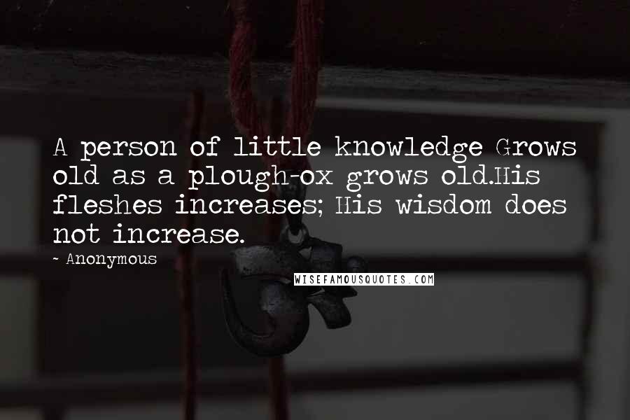 Anonymous Quotes: A person of little knowledge Grows old as a plough-ox grows old.His fleshes increases; His wisdom does not increase.