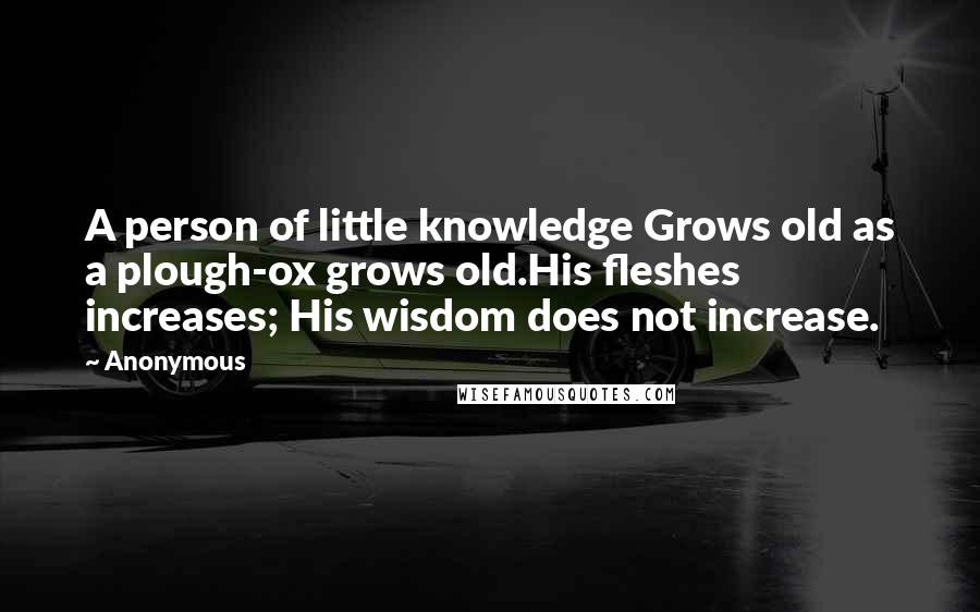 Anonymous Quotes: A person of little knowledge Grows old as a plough-ox grows old.His fleshes increases; His wisdom does not increase.
