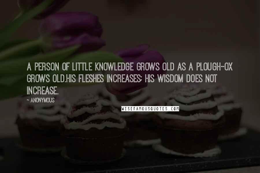 Anonymous Quotes: A person of little knowledge Grows old as a plough-ox grows old.His fleshes increases; His wisdom does not increase.