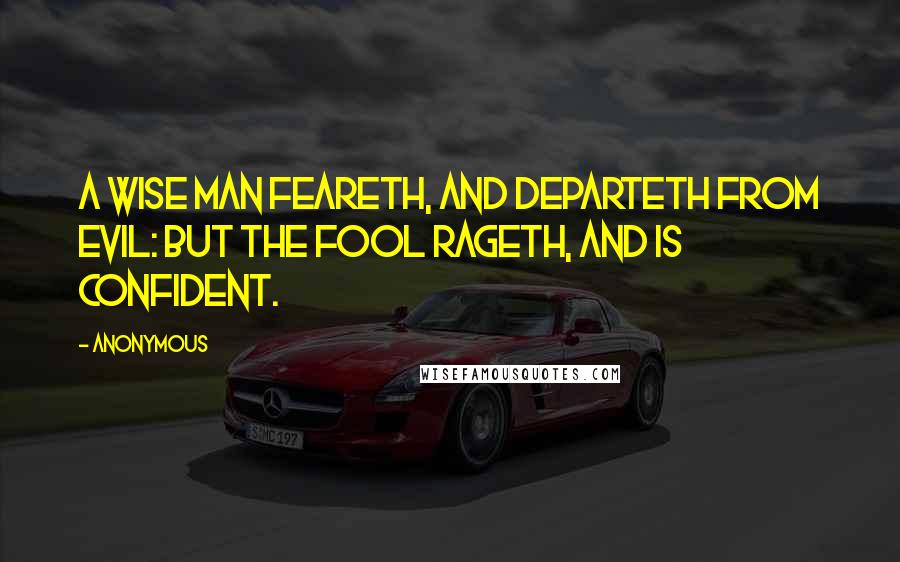 Anonymous Quotes: A wise man feareth, and departeth from evil: but the fool rageth, and is confident.