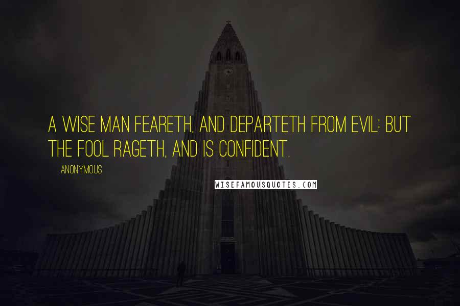 Anonymous Quotes: A wise man feareth, and departeth from evil: but the fool rageth, and is confident.