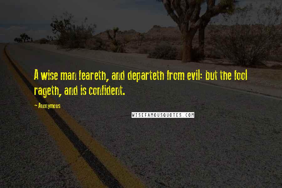 Anonymous Quotes: A wise man feareth, and departeth from evil: but the fool rageth, and is confident.