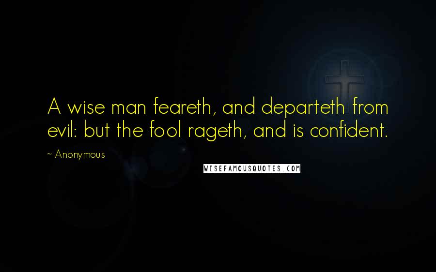 Anonymous Quotes: A wise man feareth, and departeth from evil: but the fool rageth, and is confident.