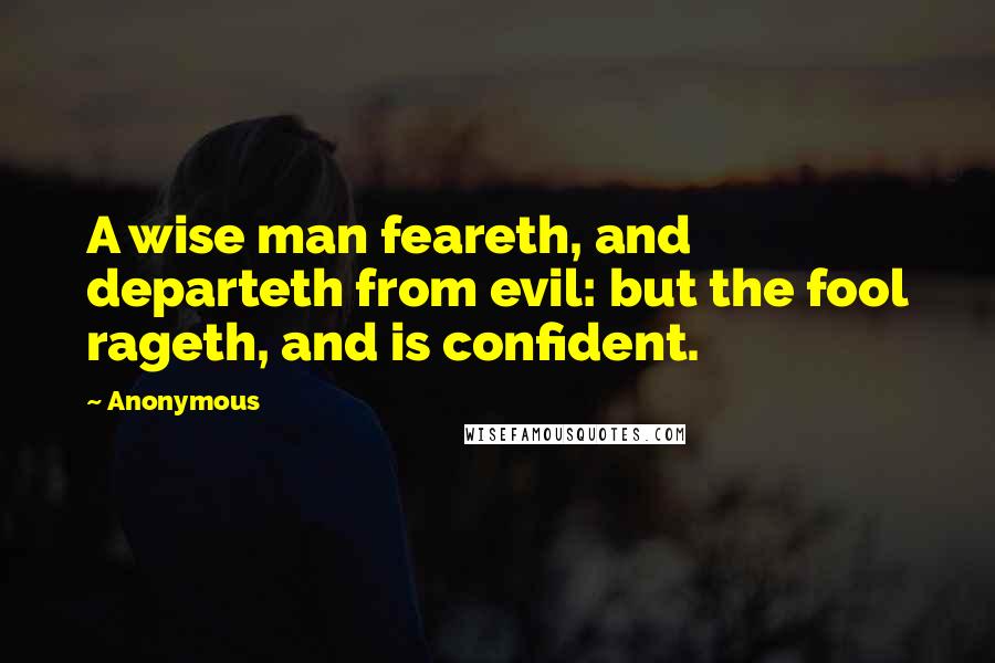 Anonymous Quotes: A wise man feareth, and departeth from evil: but the fool rageth, and is confident.