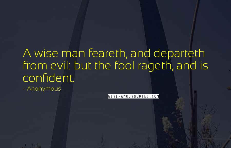 Anonymous Quotes: A wise man feareth, and departeth from evil: but the fool rageth, and is confident.