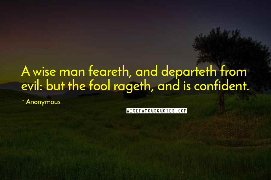 Anonymous Quotes: A wise man feareth, and departeth from evil: but the fool rageth, and is confident.