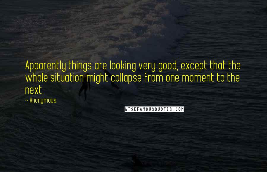 Anonymous Quotes: Apparently things are looking very good, except that the whole situation might collapse from one moment to the next.