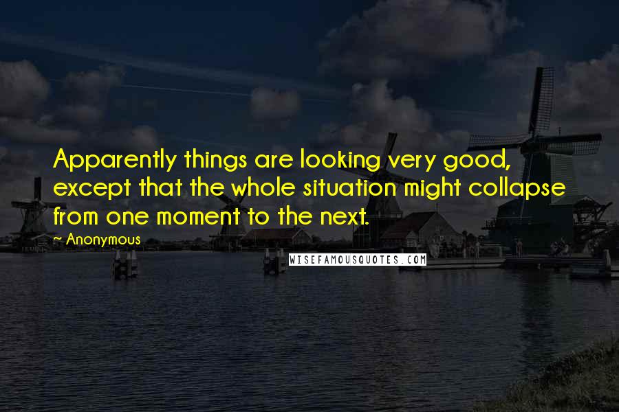 Anonymous Quotes: Apparently things are looking very good, except that the whole situation might collapse from one moment to the next.