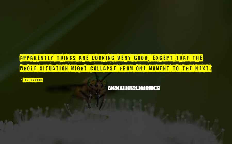 Anonymous Quotes: Apparently things are looking very good, except that the whole situation might collapse from one moment to the next.