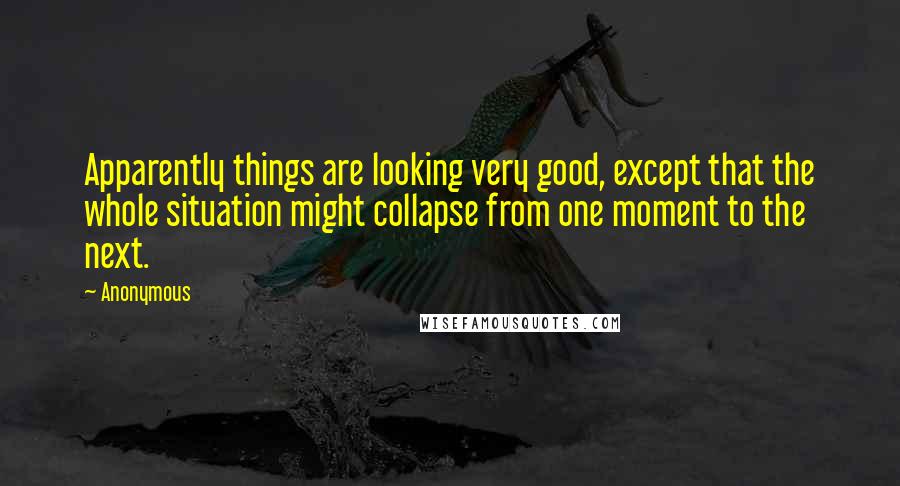 Anonymous Quotes: Apparently things are looking very good, except that the whole situation might collapse from one moment to the next.