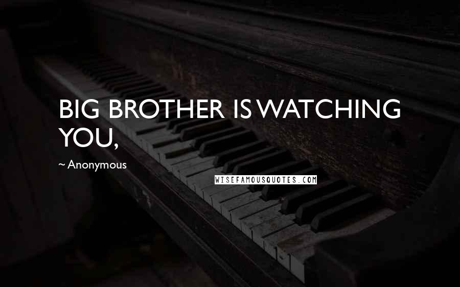 Anonymous Quotes: BIG BROTHER IS WATCHING YOU,