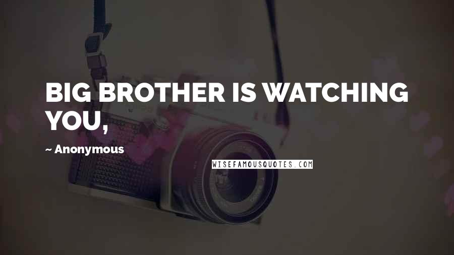 Anonymous Quotes: BIG BROTHER IS WATCHING YOU,