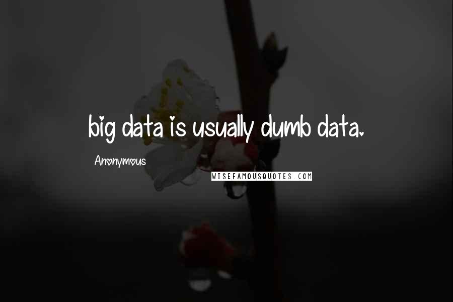 Anonymous Quotes: big data is usually dumb data.