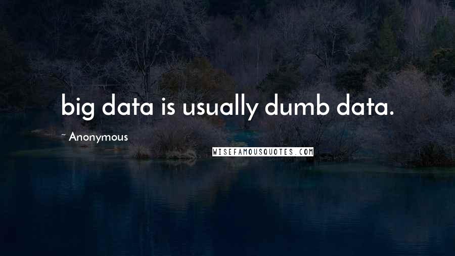 Anonymous Quotes: big data is usually dumb data.