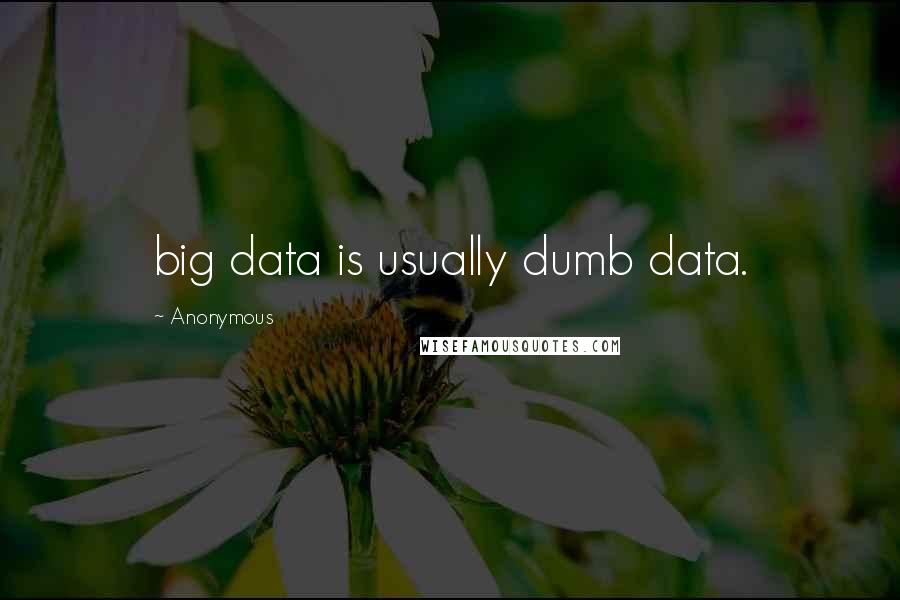 Anonymous Quotes: big data is usually dumb data.