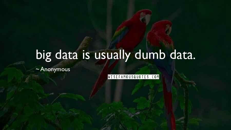 Anonymous Quotes: big data is usually dumb data.