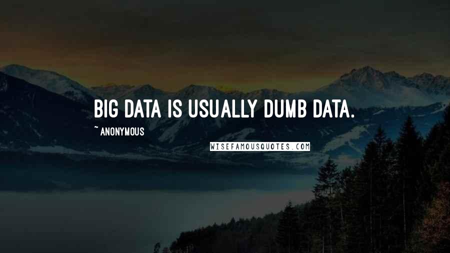 Anonymous Quotes: big data is usually dumb data.